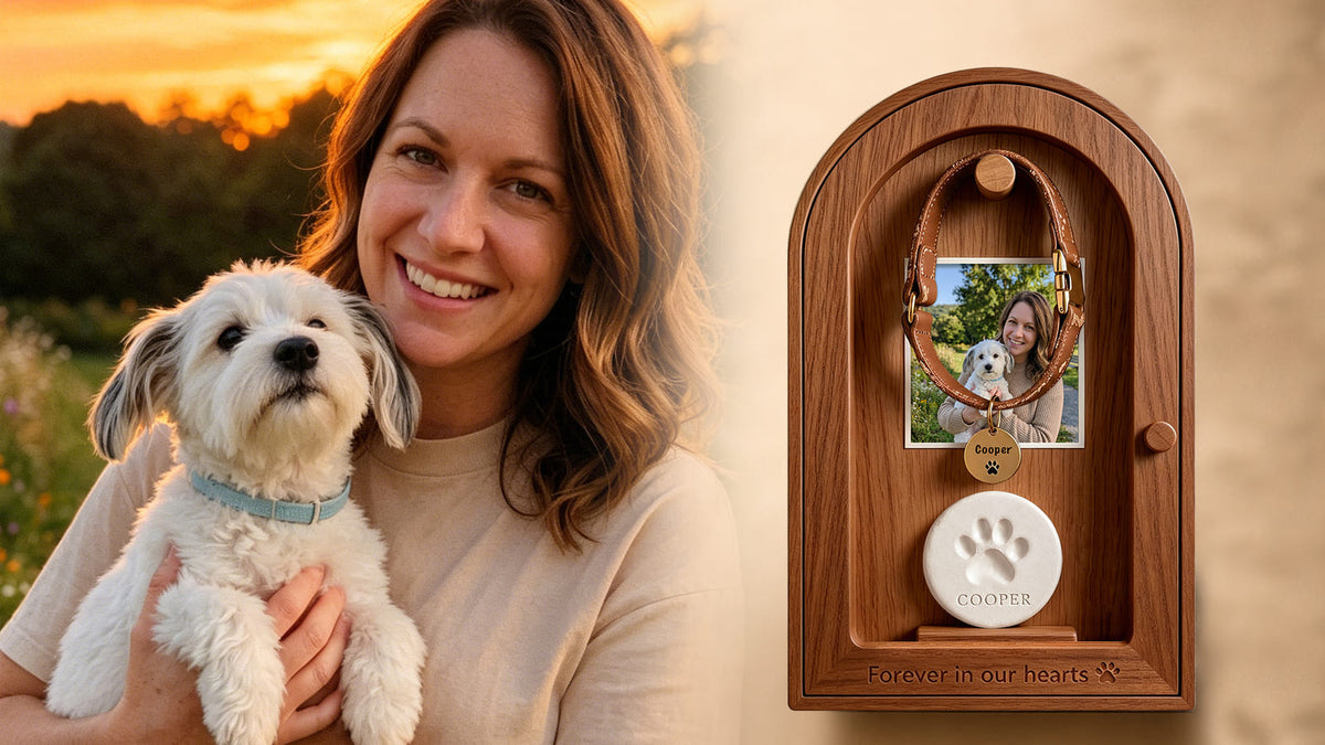 Dog collar displayed as part of a personalized memorial space at home