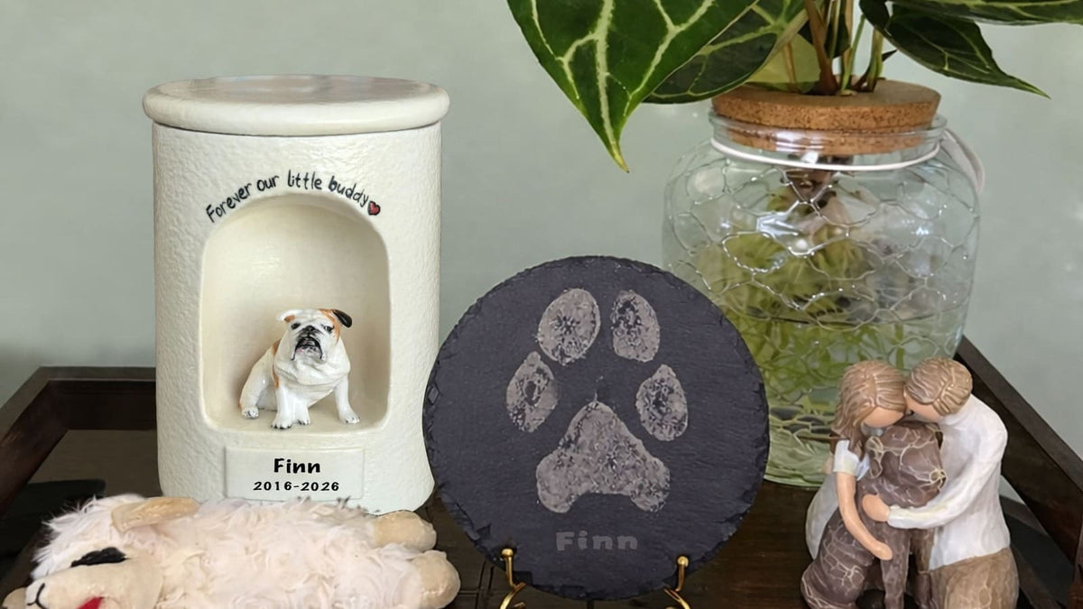 Pet ashes displayed in a personalized urn with a framed photo at home