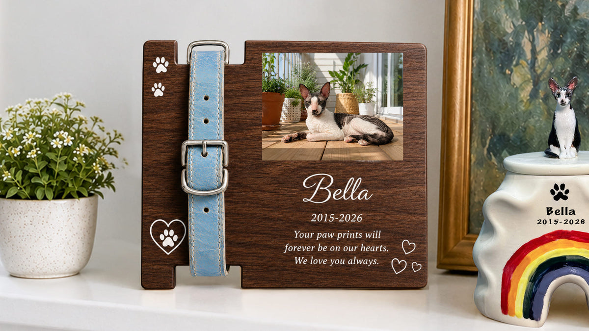 Meaningful pet keepsakes displayed with a personalized urn after cremation