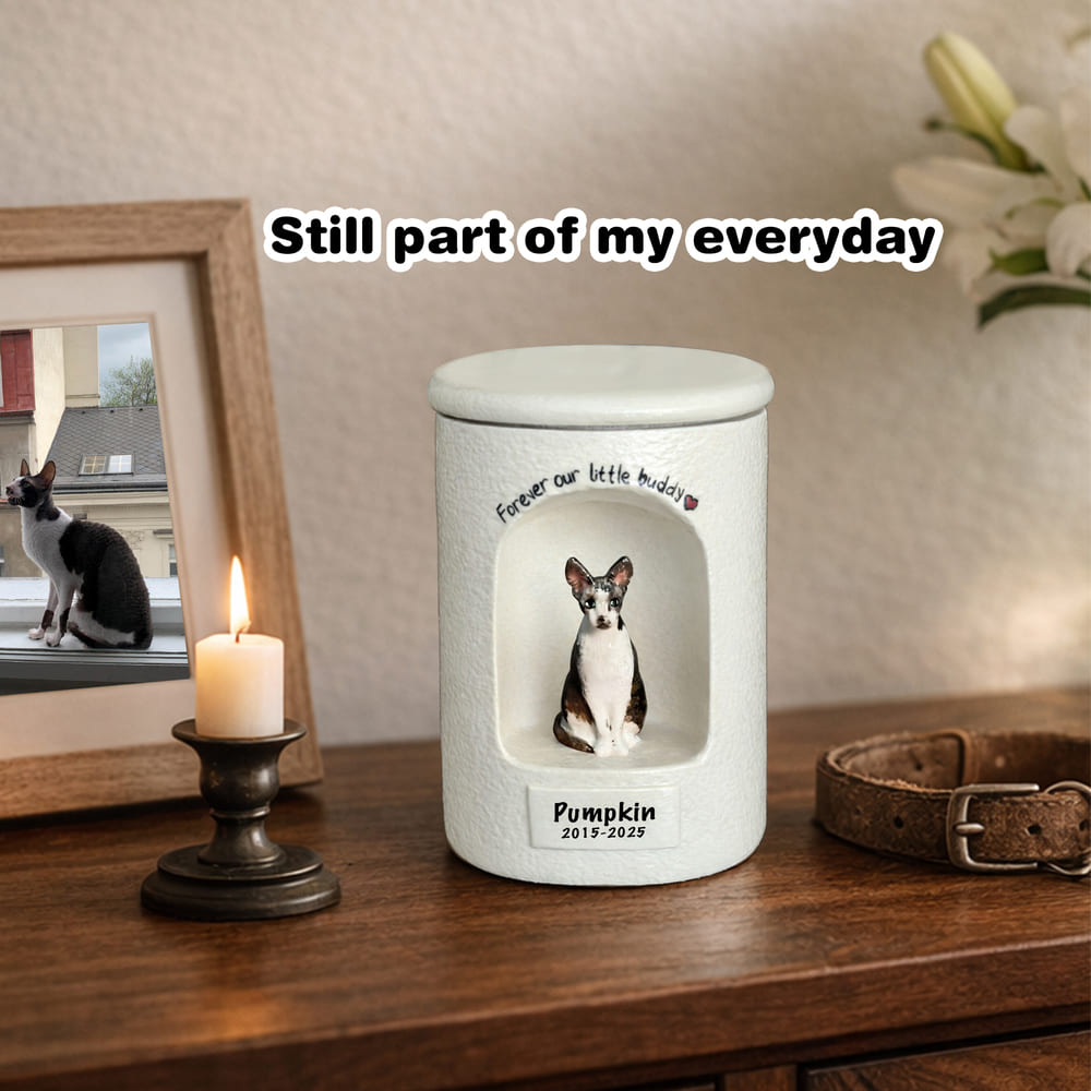 Personalized pet urn displayed on a table during a peaceful evening at home