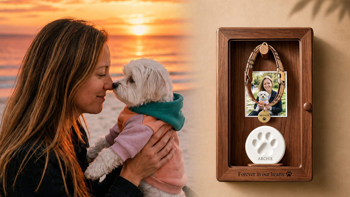 Beloved pet collar displayed as part of a meaningful memorial at home