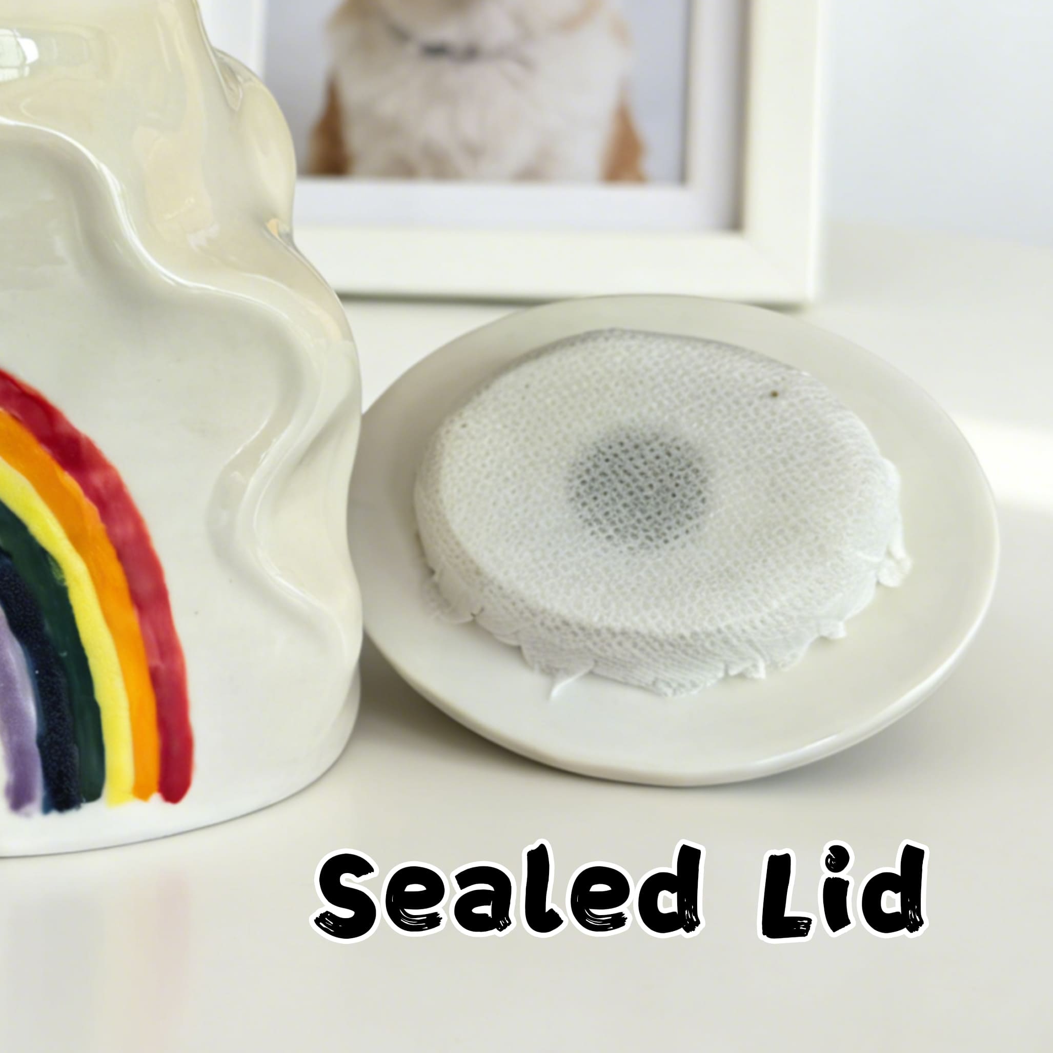 Pet Urn for Cat – Ceramic Cat Urn-RB02