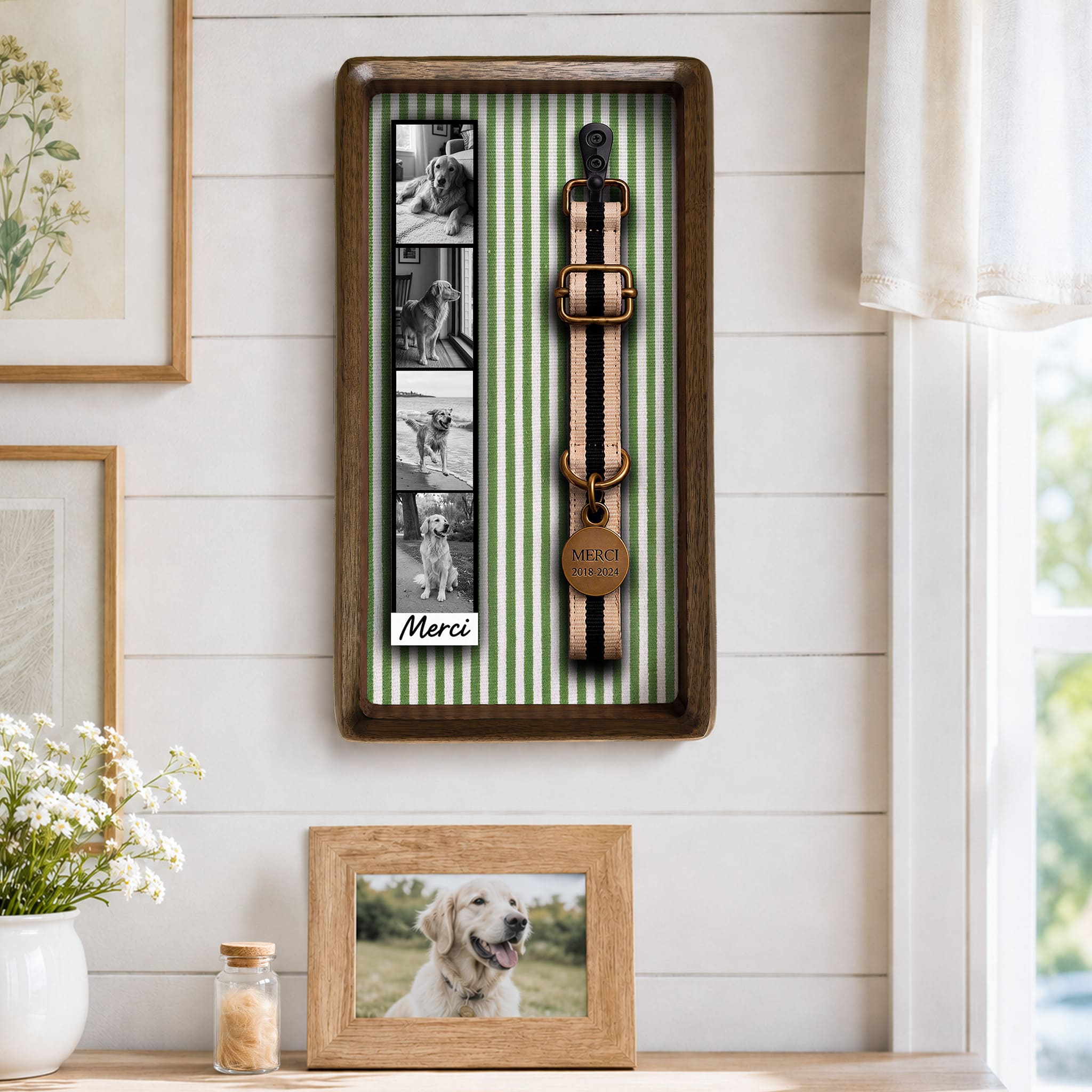 Pet collar memorial frame displayed on a wall with a pet photo strip and sample keepsake collar for display reference