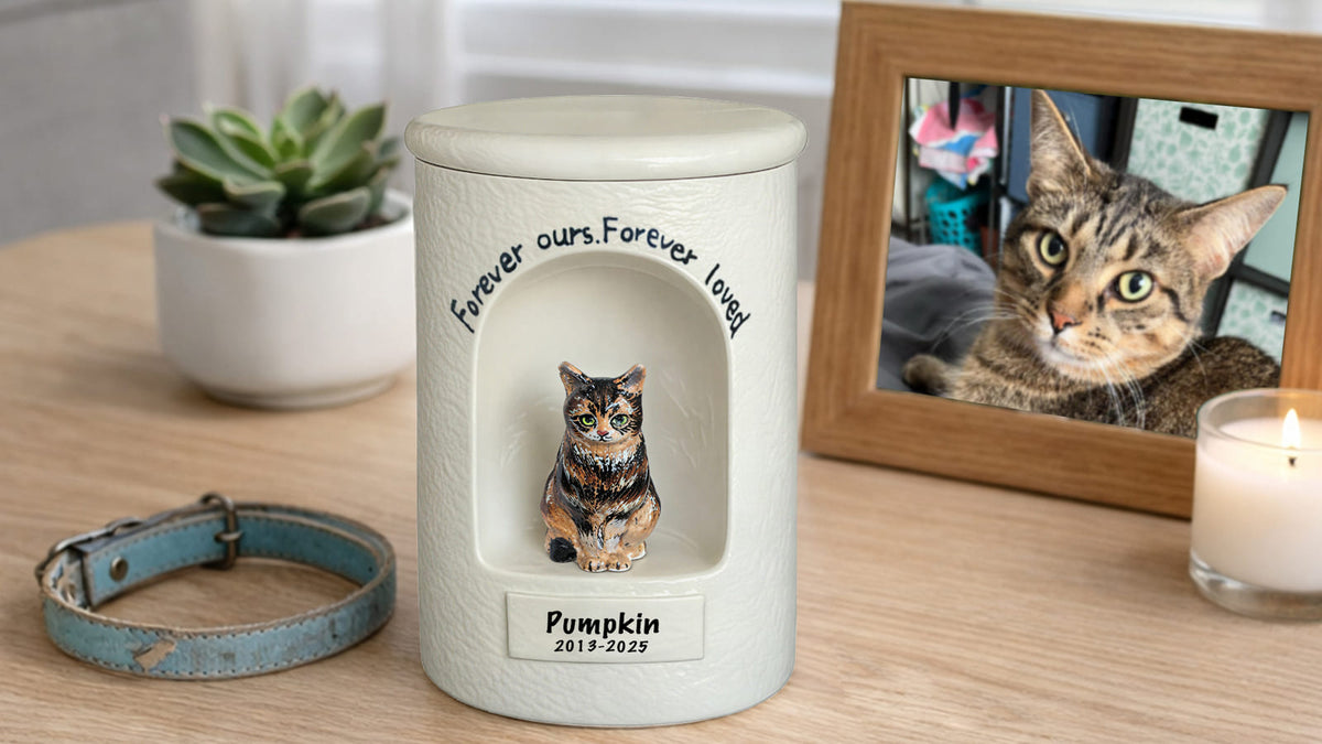 Peaceful cat memorial corner with a personalized urn, photo, and keepsakes in a cozy home