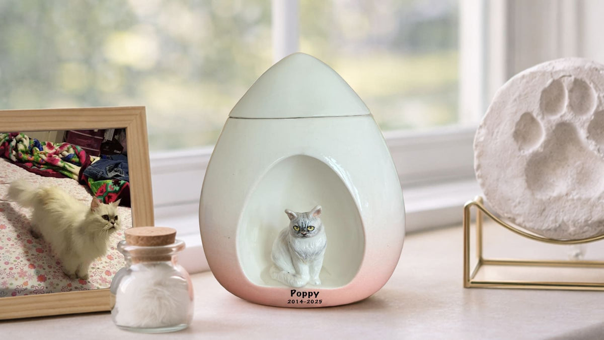 Dog memorial corner with a personalized urn, framed photo, and keepsakes in a cozy home