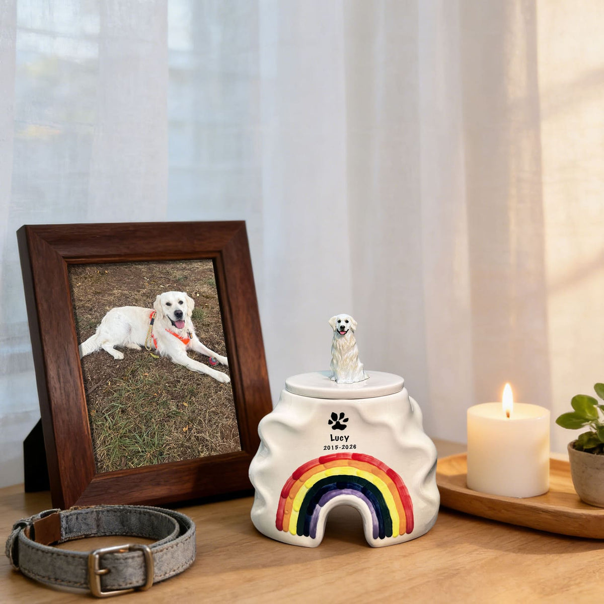 Pet urn decision timeline represented in a calm home setting with soft light