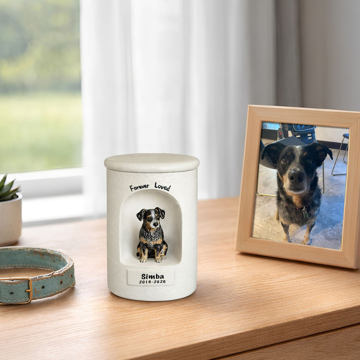 Are Pet Ashes Harmful? (What You Should Know)