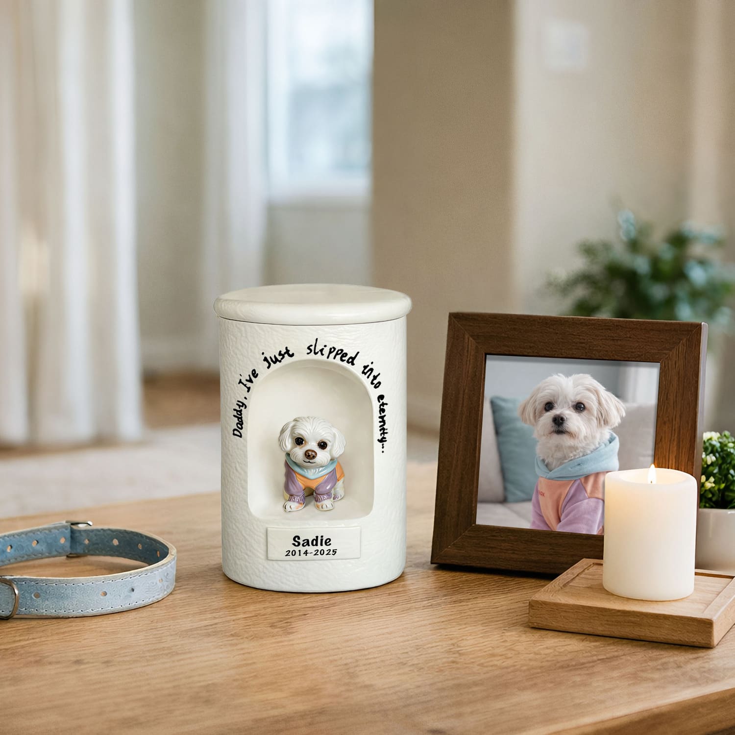 Pet urn in soft light representing calm memory and reflection