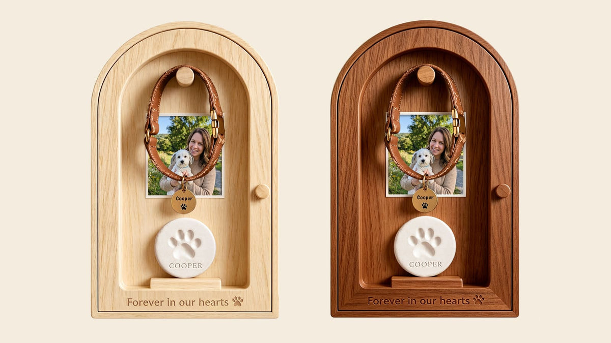 Pet memorial shadow box displaying a collar, photo, paw print, and keepsakes