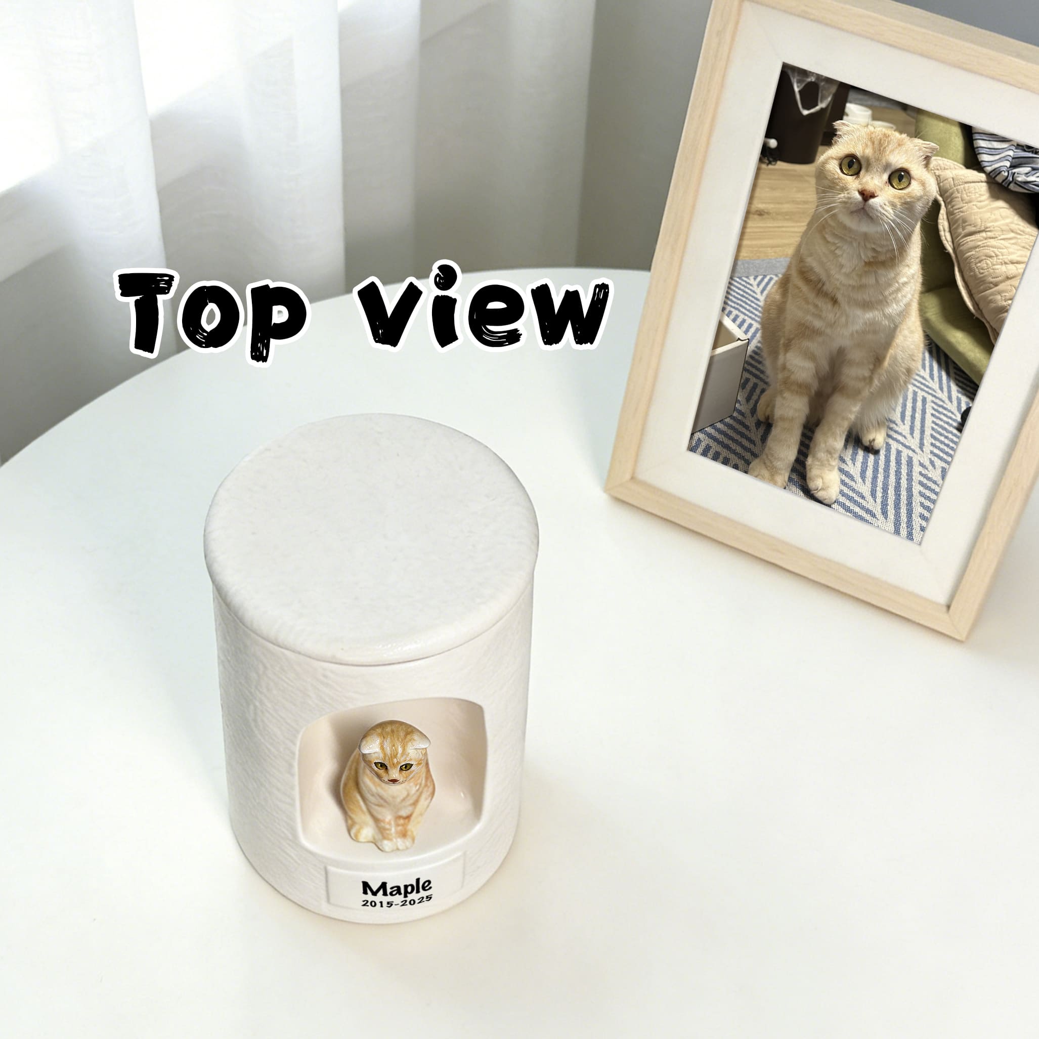White ceramic cat memorial urn top view with sculpted tabby figurine front panel