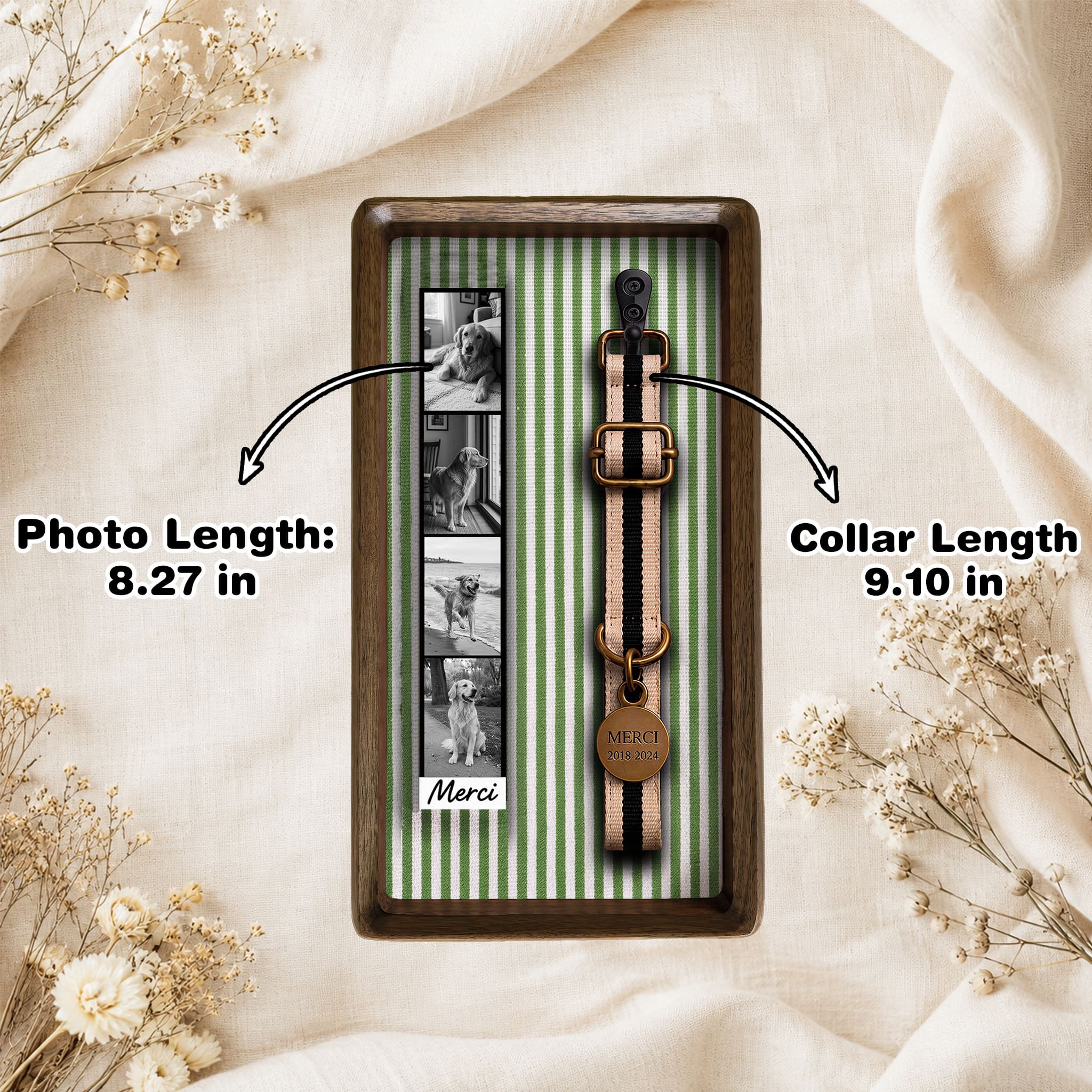 Dog Collar Memorial Frame for Photo Strip & Keepsake Display
