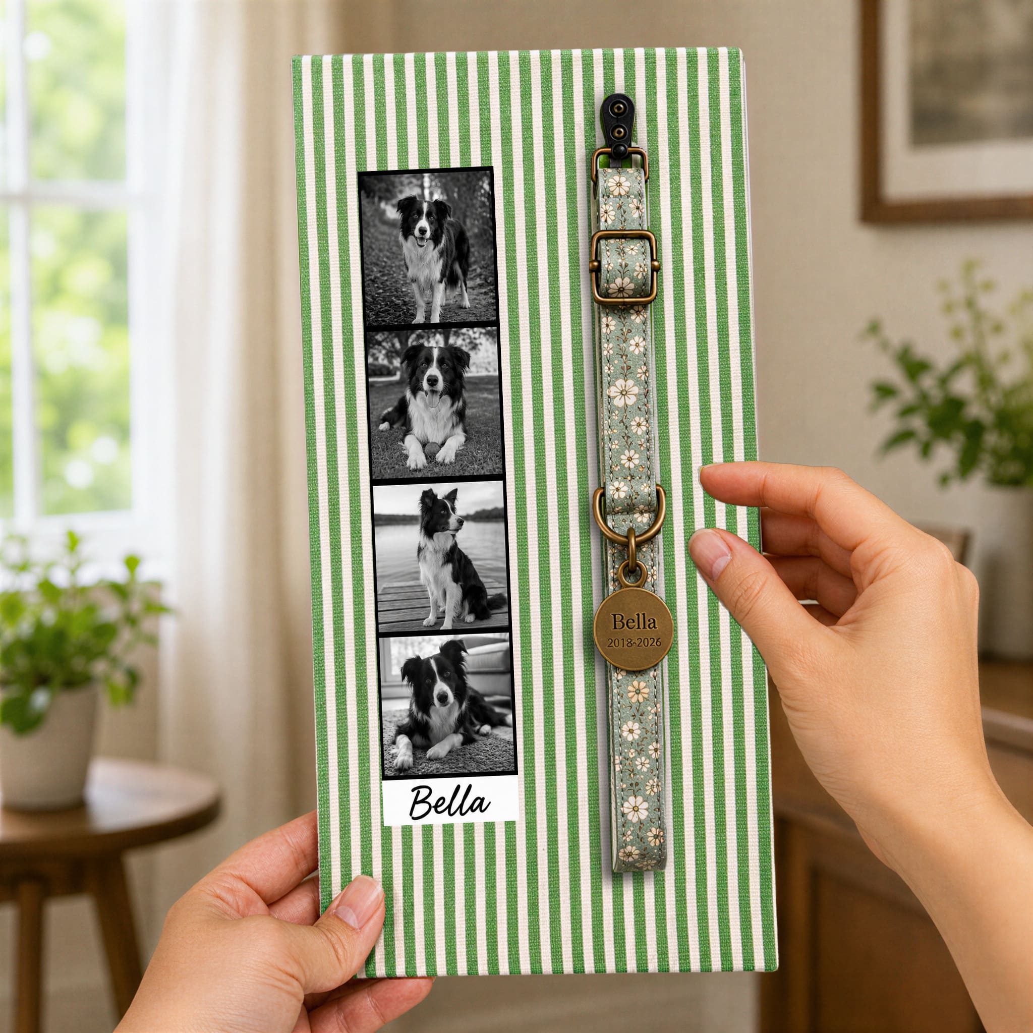 Dog Collar Memorial Frame for Photo Strip & Keepsake Display